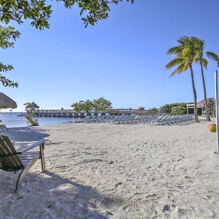 Vitamin Sea Tavernier Екстер'єр фото